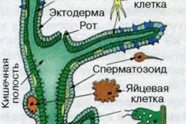 Кракен интернет площадка