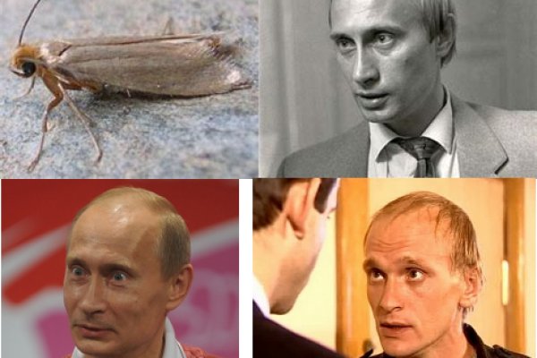 Hydra зеркало киев
